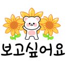 정다운꽃집 - 경주시 용담로104번길 7 | 정다운꽃집