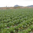 신명농장 이미지