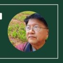 봉황꽃벵이