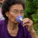 가랑회관 이미지