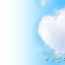 영란 Daum카페