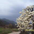 두암마을회관 이미지