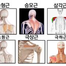 와이투짐 도래울점 이미지