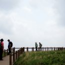 곰배령 주니네 이미지