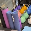 더블유복싱 | 초보자도 쉽게 배우는 마곡 크라브마가 실전 호신술과 체력운동 경험담