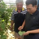 이창희농장 이미지