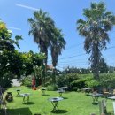 금호숯불가든 이미지