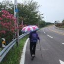 청해포구촬영장 이미지