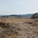 양항1리마을회관 이미지