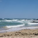 브라운도트호텔전주터미널점 이미지