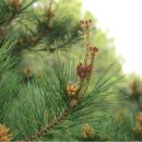 무릉2리마을회관 이미지