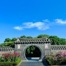 전주서일초등학교 | 전주수목원 장미 전주 가볼 만한 곳입니다.