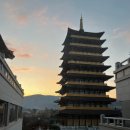 황룡stay | 경주 여행 숙소 추천 '황룡원' 4인 싱글(벙글^^) 숙박, 조식, 카페 상세후기