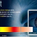 더봄 안경 이미지