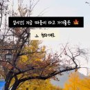 새문안로5길 이미지