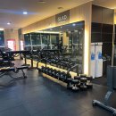 글래드 휘트니스 시청점 | 부산 우동 헬스장 글래드휘트니스 센텀점 위치, 가격, 영업정보, 기타정보, 후기 알려드립니다~!