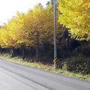 나진청하가든 이미지