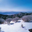 지리산 이미지
