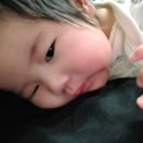 공릉길 이미지