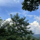 하나휴게점 이미지