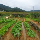 우리농장2 이미지