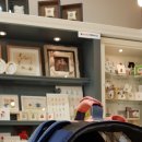 펫 노리터 이미지