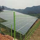 일진태양광발전소 이미지