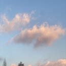 1073목장 | 강원도 평창 대관령여행 대구에서 당일로 다녀온 삼양라운드힐 삼양목장 오픈런