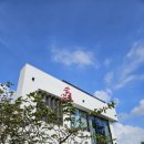 제주하와이 덕수궁 이미지