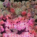 스포랜드사우나 이미지