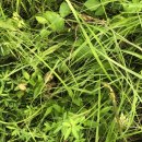 행복드림 동물병원 이미지