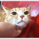 아이조아요양보호소 대구점 이미지