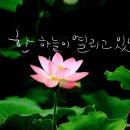 개화-꽃의 노래 이미지