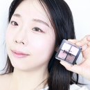 다야뷰티 | 다이소 화장품 추천템 딘토 아이섀도우팔레트 73 쿨톤 쉐도우 눈화장하는법