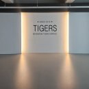명품타이거즈 이미지