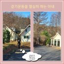 촌부의 단상-취미활동 3일째 '옥향 전지작업' 이미지