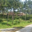 산림문화체험관 이미지