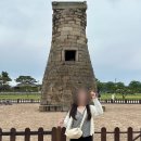 하프타임 노포점 | 경주 1박2일 여행 DAY1-① | 대릉원·반듯이·첨성대·TAK 카페 후기