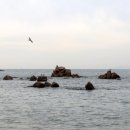 선녀바위-쉼터 이미지