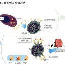 비만세포 탈과립 여쭤볼께요 이미지