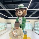 인천강아지분양 테디럽 이미지