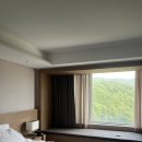 화창사우나 | 휘닉스파크 평창 호텔 수페리어 트윈, 마운틴뷰 평창 숙소 블루캐니언 사우나 곤돌라 이용후기