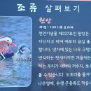 무지개어린이공원 | 산책과 사진찍기 좋은 평택 소풍공원에서 산책한 후기