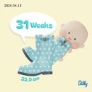 8딱8딱회바라기 | 열음 주수일기👶🏻: 임신 8개월차(31주) - 울산 태교여행, 태동검사, 백일해주사