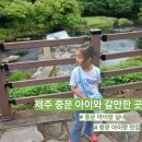 서귀동 300-1 | 제주 중문 아이랑 가볼만한곳 실내 실외 식당 총정리