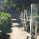 내서 삼풍대공원 이미지