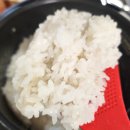 백진주 | 최고급 신품종 맛있는쌀 조선백진주 향미 후기