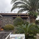 애월뜰안채한옥펜션 | 제주여행 | 감성숙소 애월 한옥 독채 장전 1038 후기 ❤️