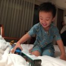 대일카냉동 | [43M] 제주여행. 그 이후 ::