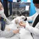 하스펫탈동물병원 이미지